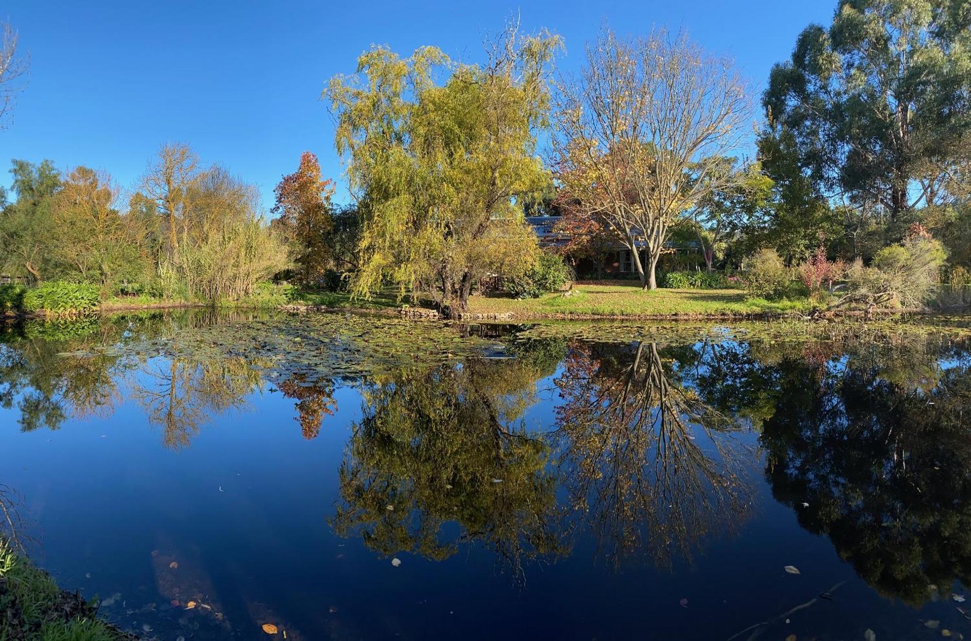 Holly Lane Mews Motel Yarra Glen Kültér fotó