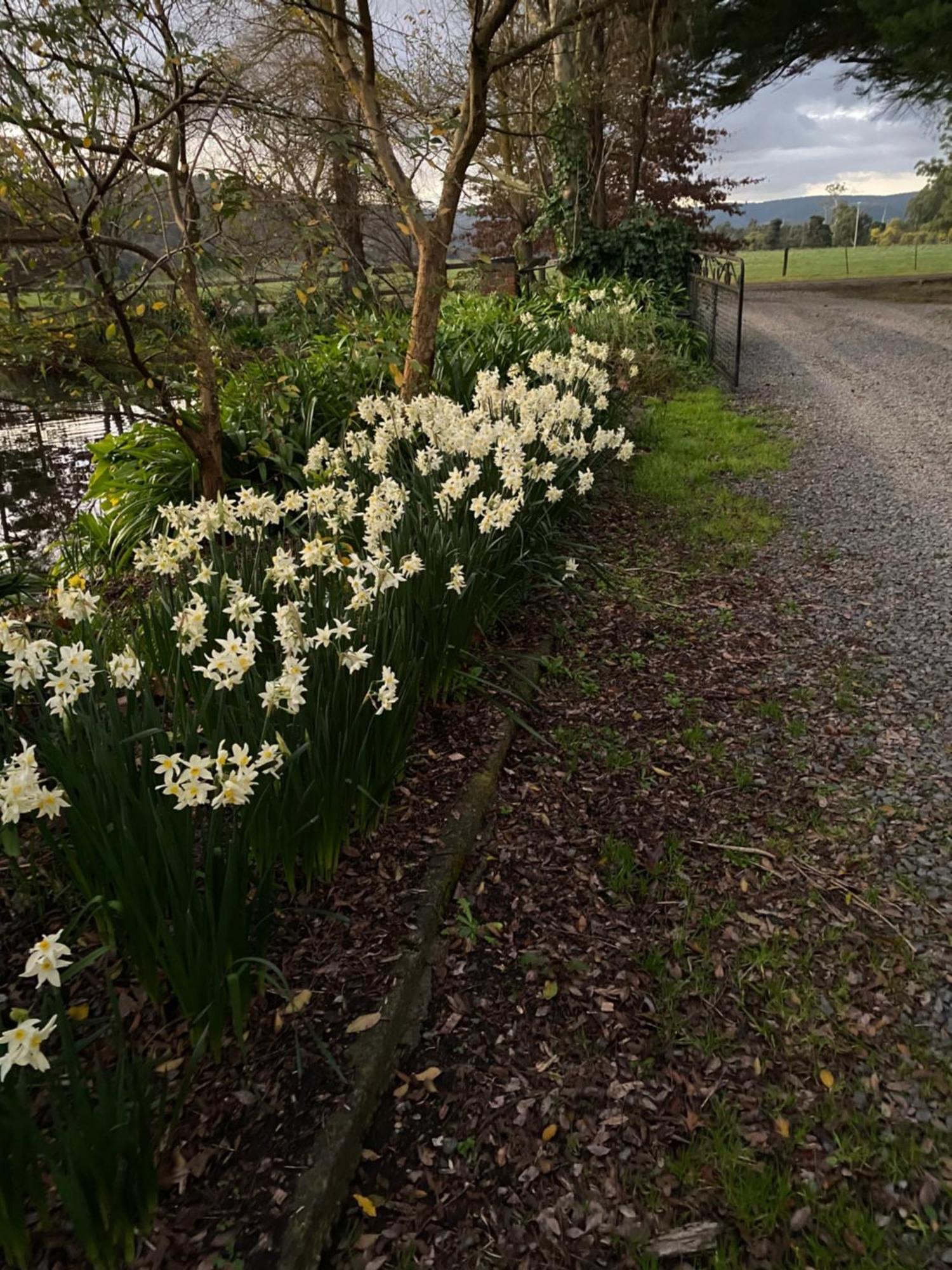 Holly Lane Mews Motel Yarra Glen Kültér fotó